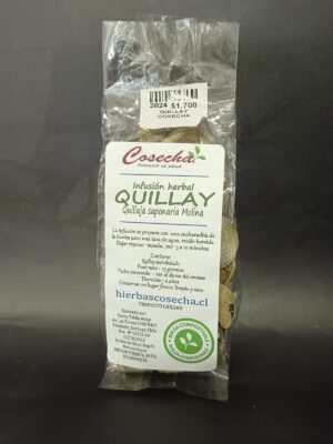 Quillay hierba